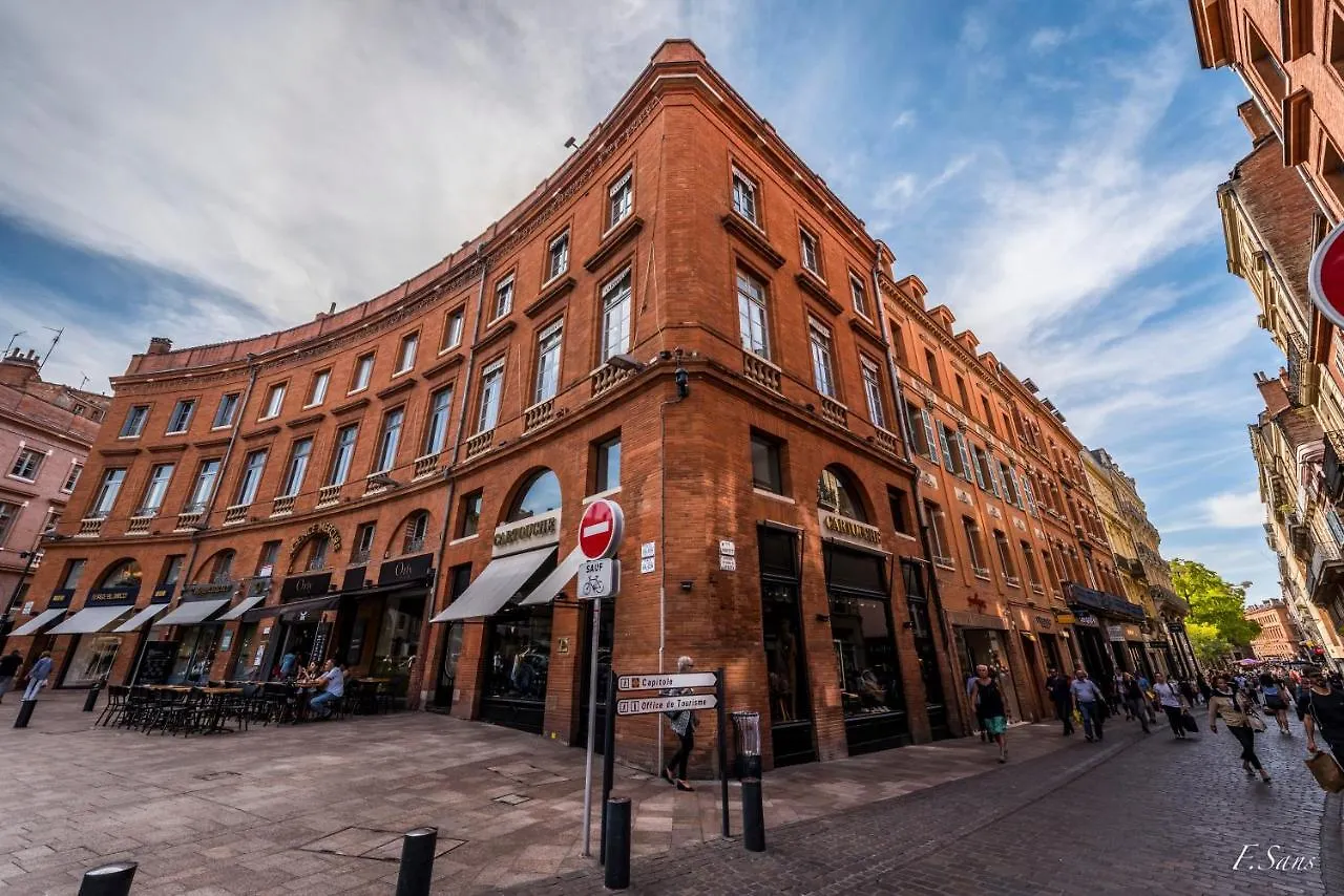 Le So'Green - Au Coeur De Toulouse - Netflix Apartamento